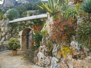 De exotiska trädgårdarna Monaco