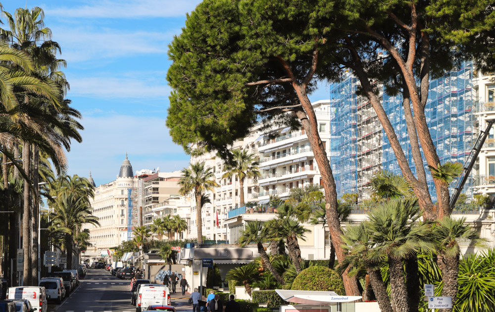 Your Guide to Cannes, France