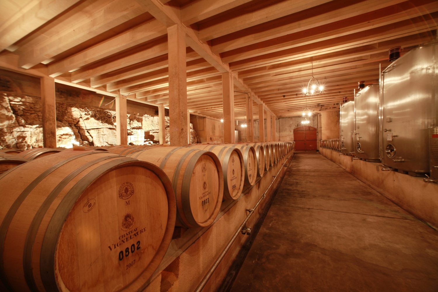 French Riviera vineyard