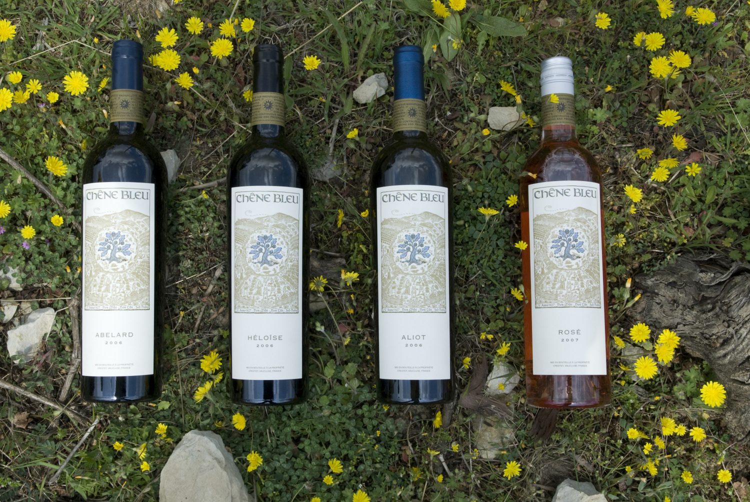 French Riviera vineyards