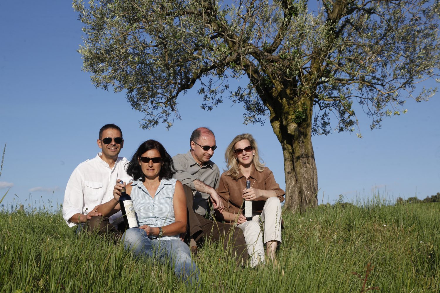 French Riviera vineyard
