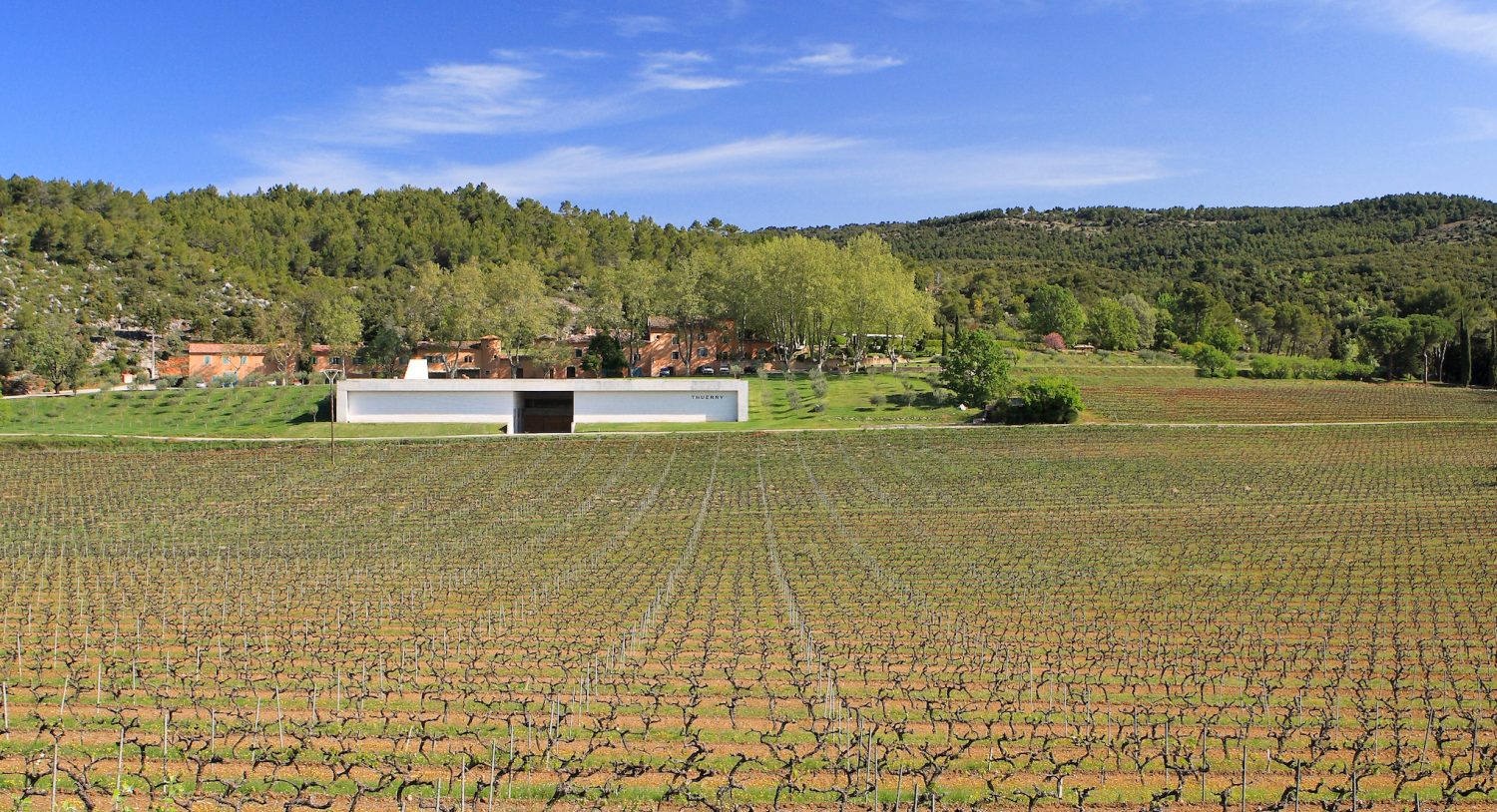 vineyard French Riviera