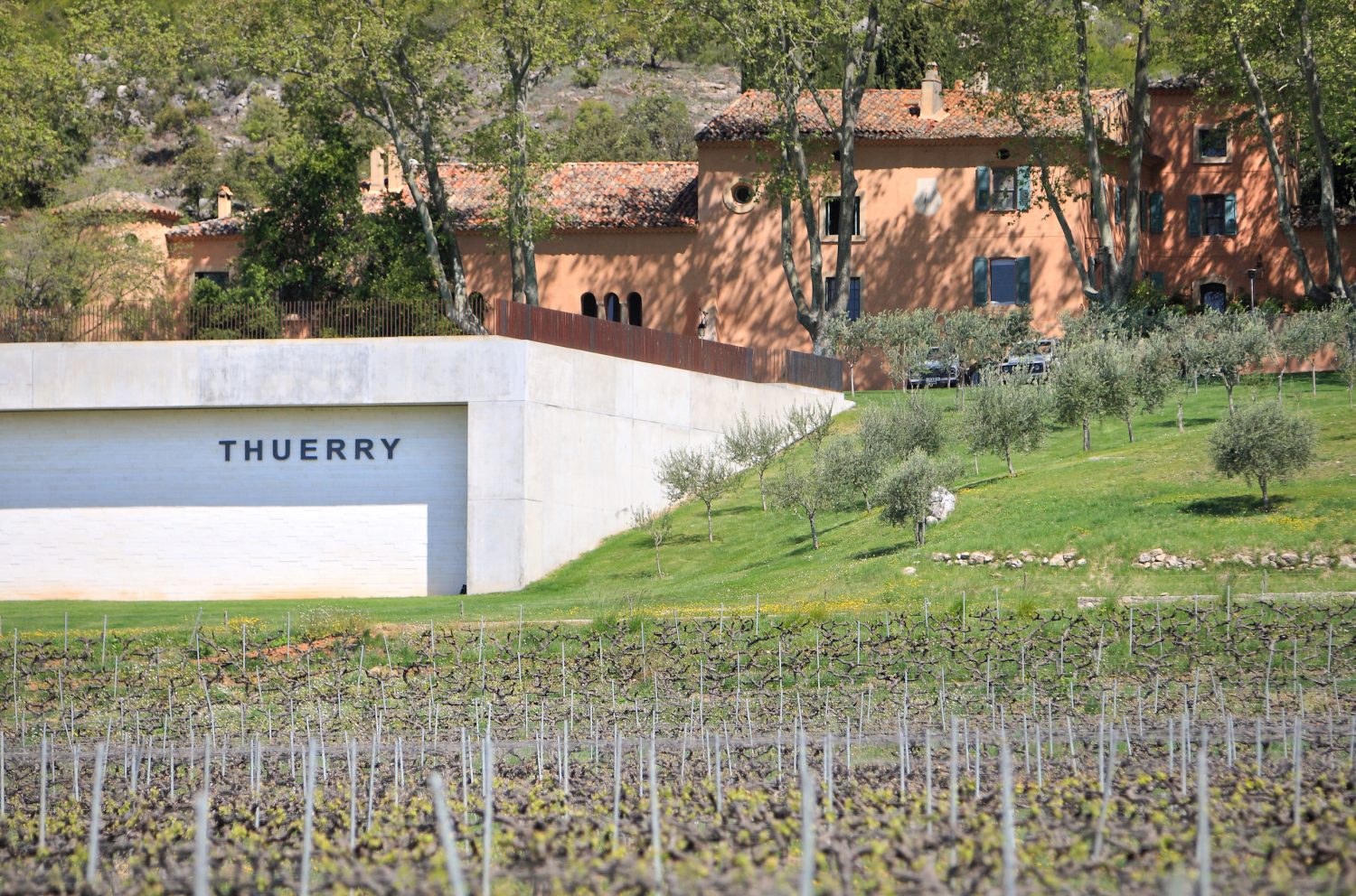 villa thuerry vineyard