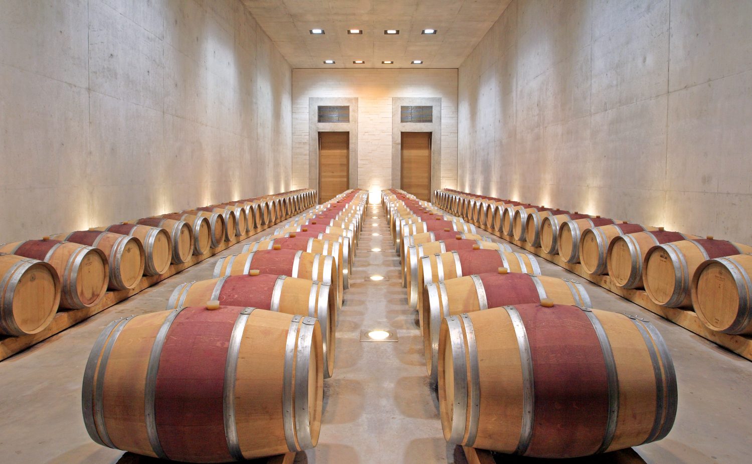 vineyard French Riviera