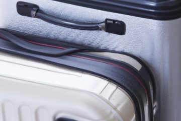 Varning för vägglöss i bagaget – Hur man skyddar sig